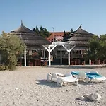 Tribunia
